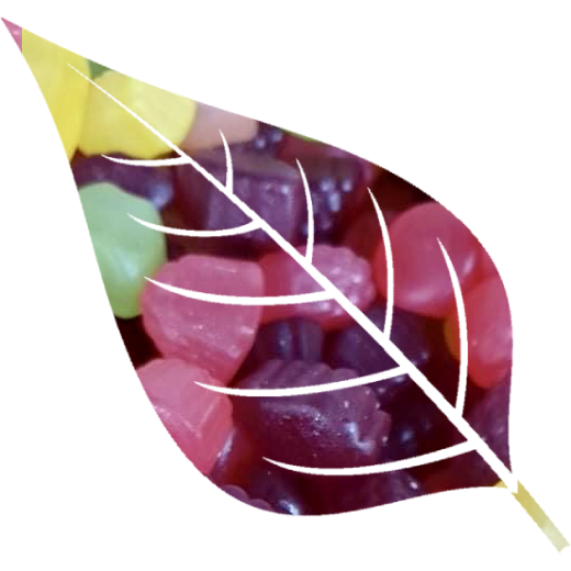 VEGAN Fruit Jellies