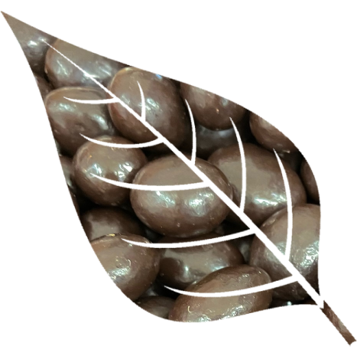 VEGAN Chocolate Sultanas