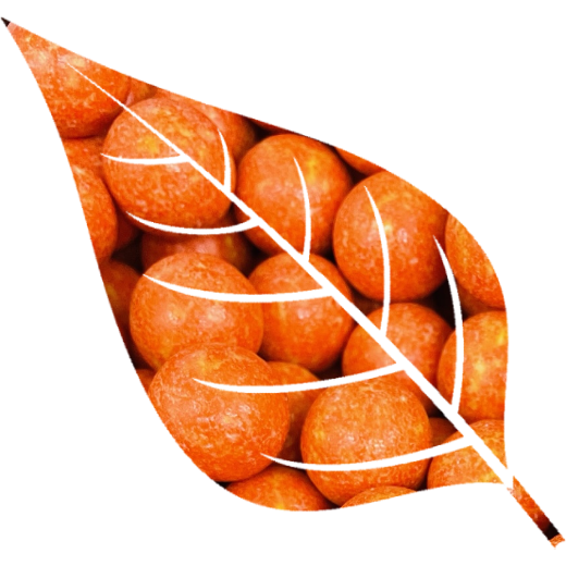 VEGAN – Chocolate Balls (Orange)