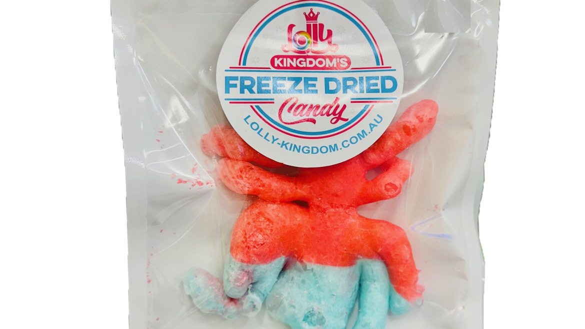 FREEZE DRIED CANDY – Giant Spider